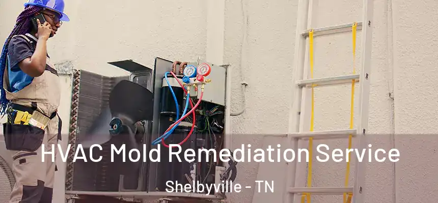  HVAC Mold Remediation Service Shelbyville - TN