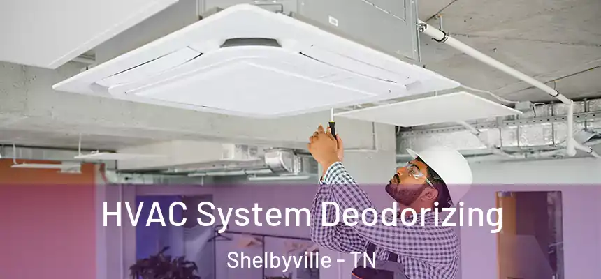 HVAC System Deodorizing Shelbyville - TN