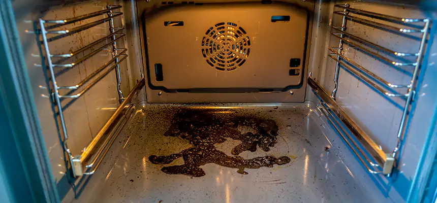 Our Dryer Vent Mold Cleaning Services in Shelbyville, TN