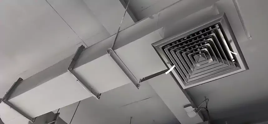 Our Pest Removal From Ducts Services in Shelbyville, TN