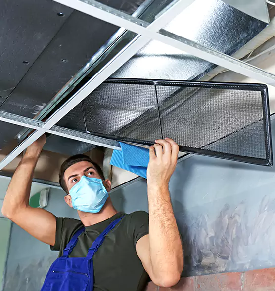 About Air Duct Bacteria Removal in Shelbyville