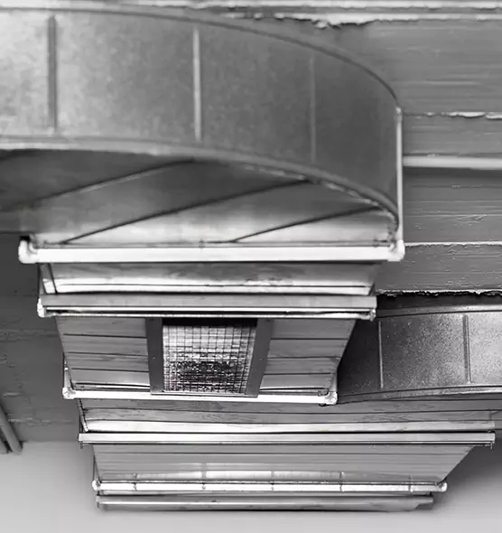 Professional Air Duct Pest Removal in Shelbyville, TN