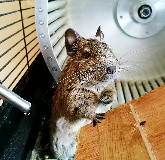 Why Homeowners & Businesses Trust Us Shelbyville, TN