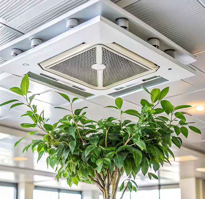 Why Homeowners & Businesses Trust Us in Shelbyville, TN?