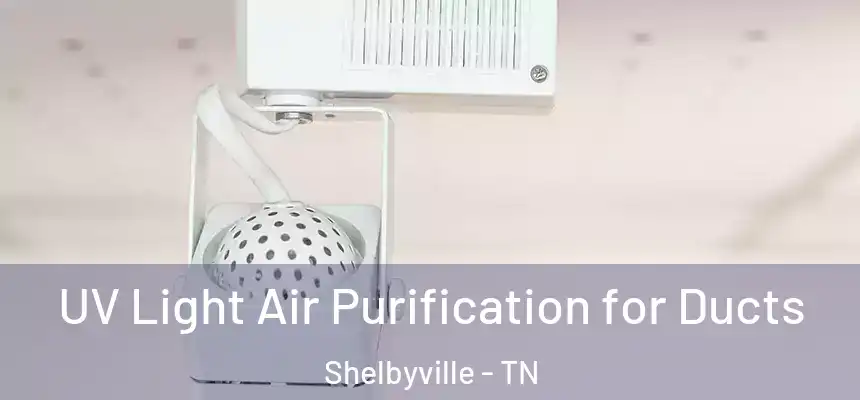  UV Light Air Purification for Ducts Shelbyville - TN